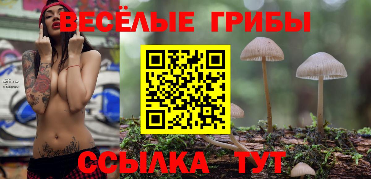 Галлюциногенные грибы MAGIC MUSHROOMS  Вход с VPN  Галлюциногенные грибы MAGIC MUSHROOMS  Белорецк 